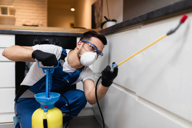 Best Rat Extermination Near Me  in Orange, OH