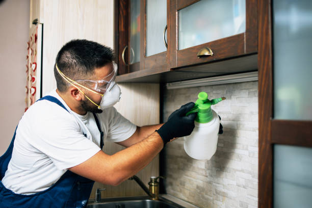 Best Local Pest Control Services  in Orange, OH