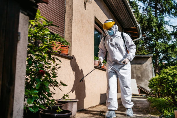 Trusted Orange, OH Pest Control Experts