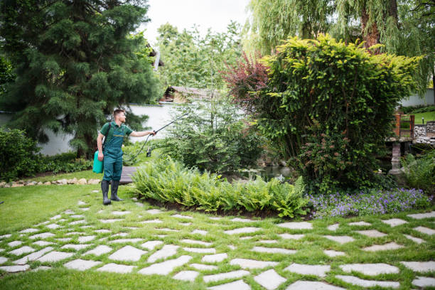 Best Affordable Pest Control Services  in Orange, OH