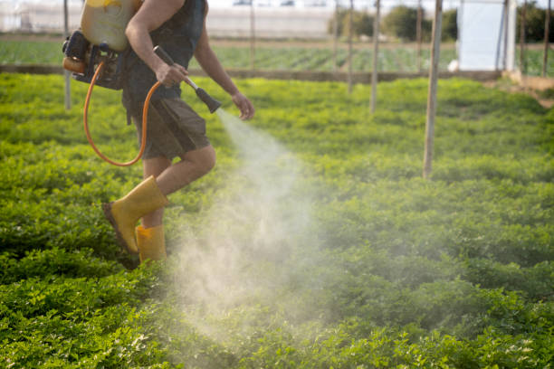 Best Pest Inspection Near Me  in Orange, OH